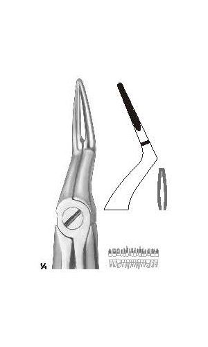 Extracting forceps english pattern