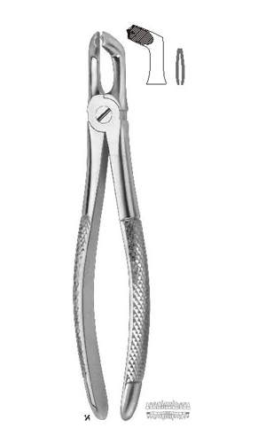 Extracting forceps english pattern