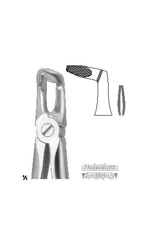 Extracting forceps english pattern
