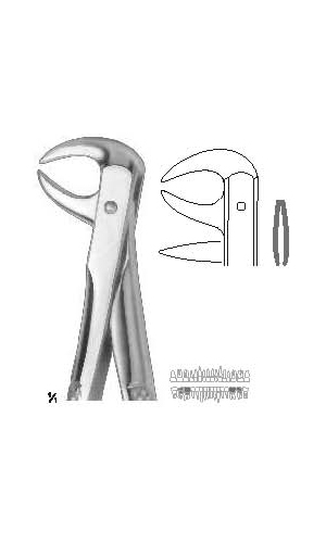 Extracting forceps english pattern