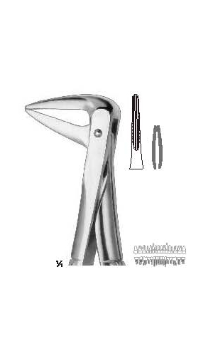 Extracting forceps english pattern