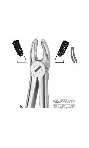 Extracting forceps Fino