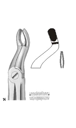 Extracting forceps Fino
