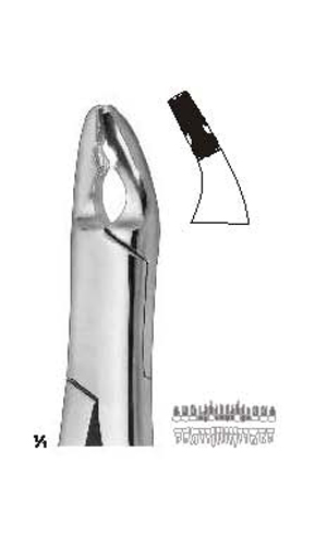 Extracting forceps , Amirican pattern