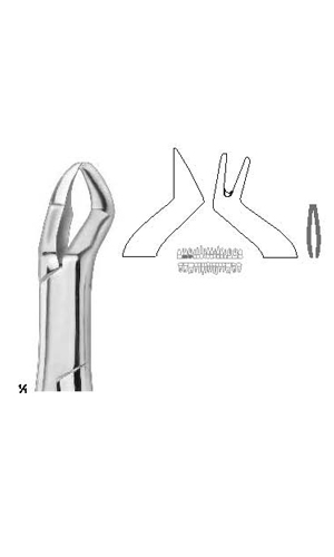Extracting forceps , Amirican pattern