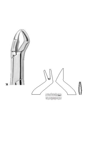 Extracting forceps , Amirican pattern
