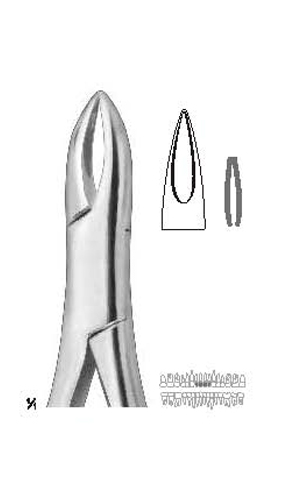Extracting forceps , Amirican pattern