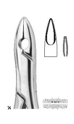 Extracting forceps , Amirican pattern
