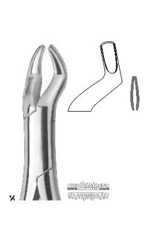 Extracting forceps , Amirican pattern