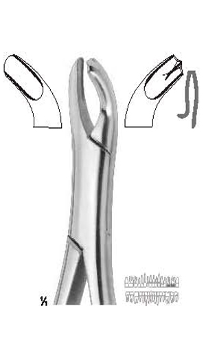 Extracting forceps , Amirican pattern