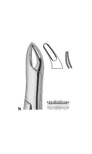Extracting forceps , Amirican pattern