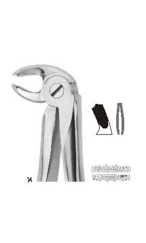 Extracting Forceps (English Pattern)