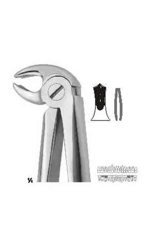 Extracting Forceps (English Pattern)