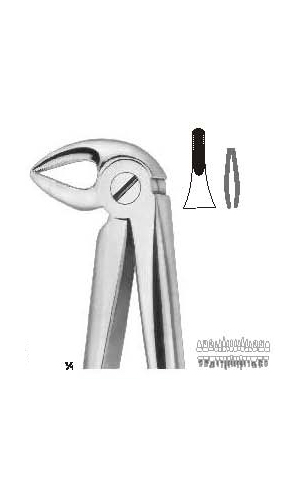 Extracting Forceps (English Pattern)