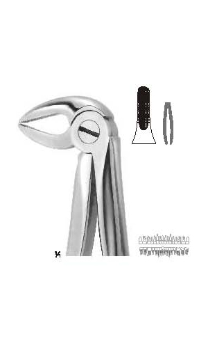 Extracting Forceps (English Pattern)