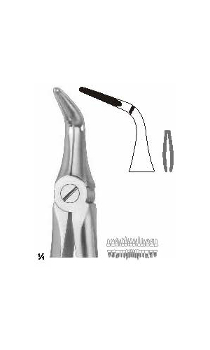 Extracting Forceps (English Pattern)