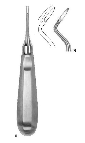 Root Elevators