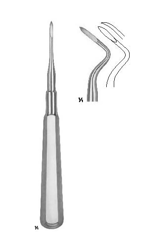 Root Fragment Elevators