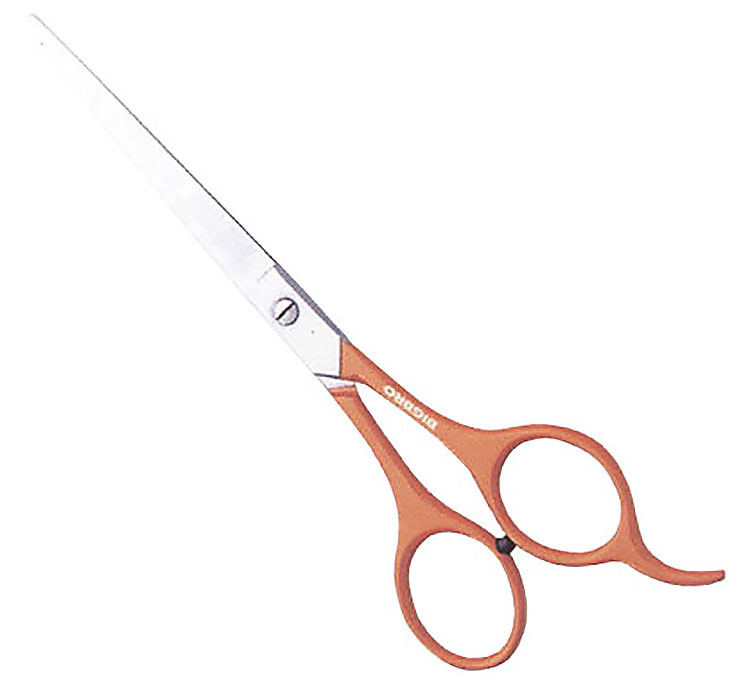 Baber Scissor With Hook 5.5